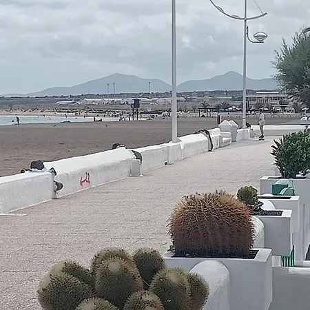 Sol Y Terraza
